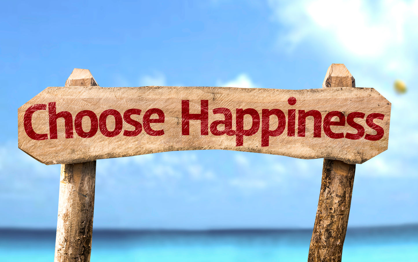 Increasing Your Happiness